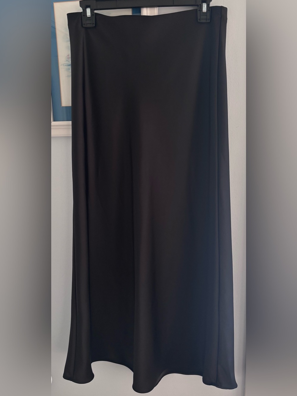 Zara Maxi Skirt